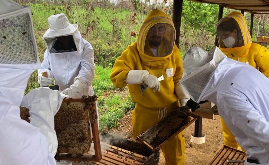 Governo de RO inicia cadastro de apicultores e meliponicultores para fortalecer programa sanitário do setor