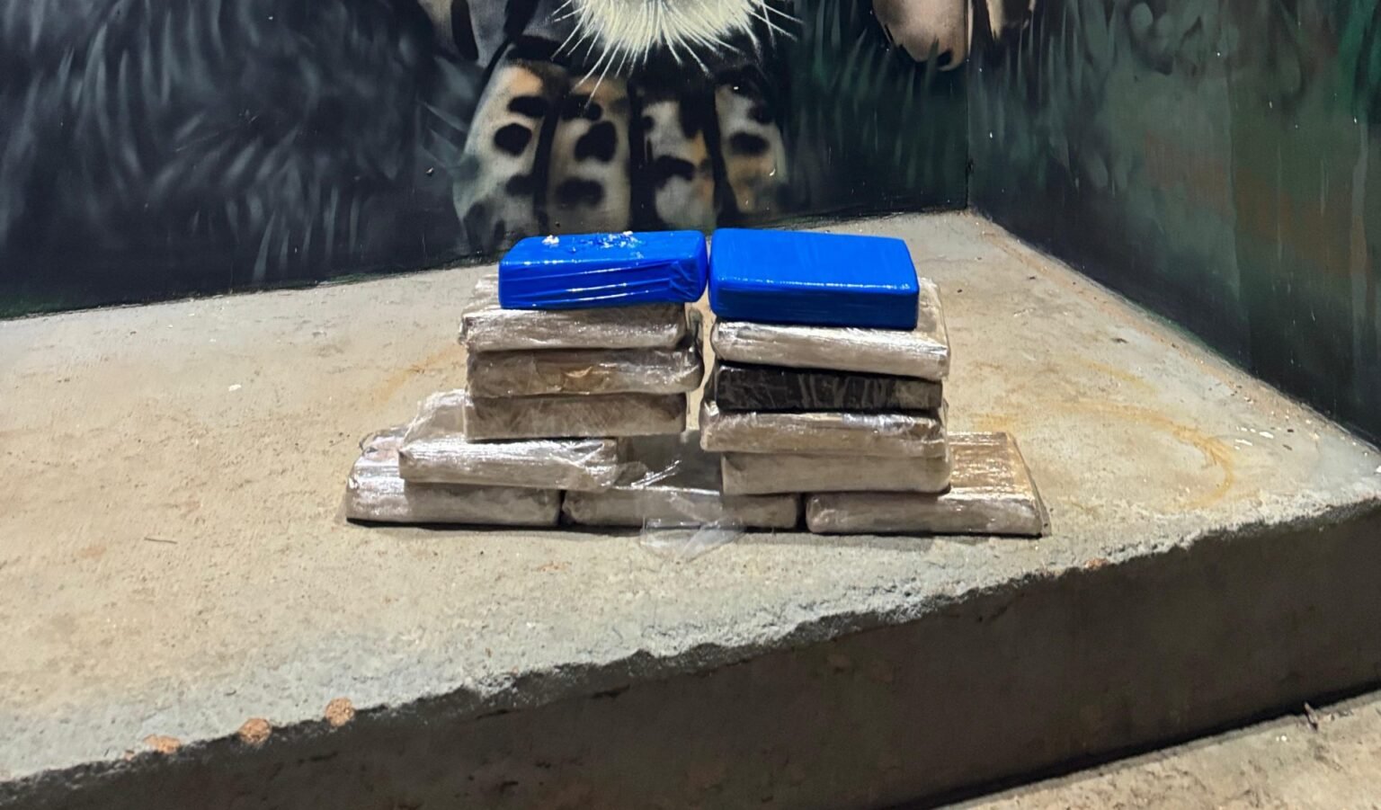 Homem é preso ao ser flagrado com tabletes de cocaína e maconha em ônibus de viagem