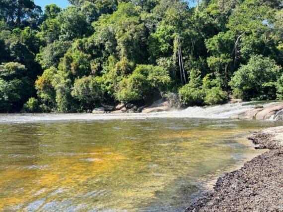Parceria fortalece destinos e experiências turísticas de Rondônia no mercado internacional