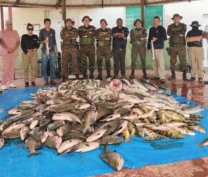 Operação conjunta entre BPA e SEDAM apreende mais de 2,2 toneladas de pescado com irregularidades em Rondônia