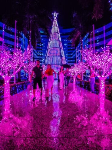 Abertura do Natal de Luz 2025 – “Jardim Encantado”