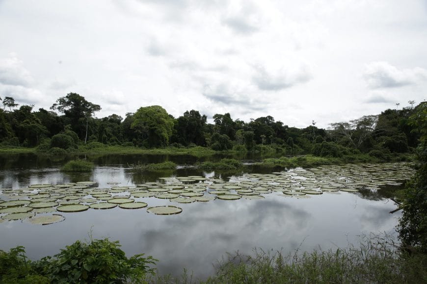 Projeto do governo de RO fortalece comunicação e autonomia nas comunidades extrativistas do Vale do Guaporé