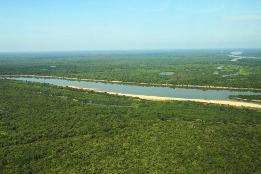 Governo de RO participa do lançamento do Guia de Melhores Práticas para Projetos de Carbono na Amazônia