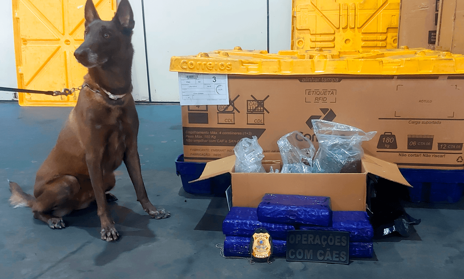 PMRO apreende 5 KG de maconha em depósito dos Correios em Ji´Paraná