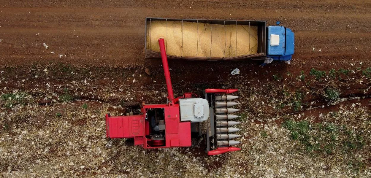 Safra leva R$ 1,42 trilhão ao campo em 2025 e muda perfil do agro