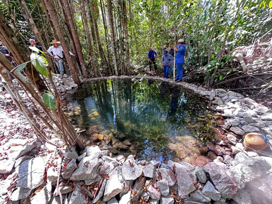 Governança climática e avanços estruturais colocam Rondônia em destaque na agenda ambiental entre 2019 e 2025
