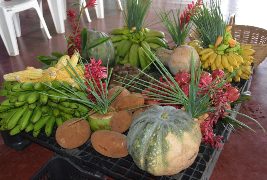 Edital de chamada pública do PAA é publicado pelo governo de RO para compra de alimentos da agricultura familiar