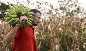 © Marcelo Camargo/Agência Brasil