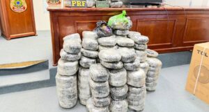 Operação conjunta apreende 173 kg de maconha em São Miguel do Guaporé