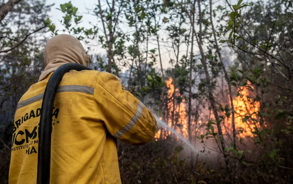 Brigadista do ICMBio — Foto: Mayangdi Inzaulgarat/ICMBio