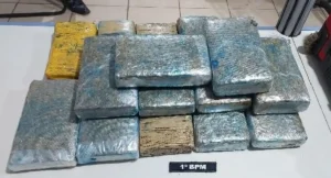 Mulher é presa com 16 quilos de maconha após denúncia anônima em Porto Velho