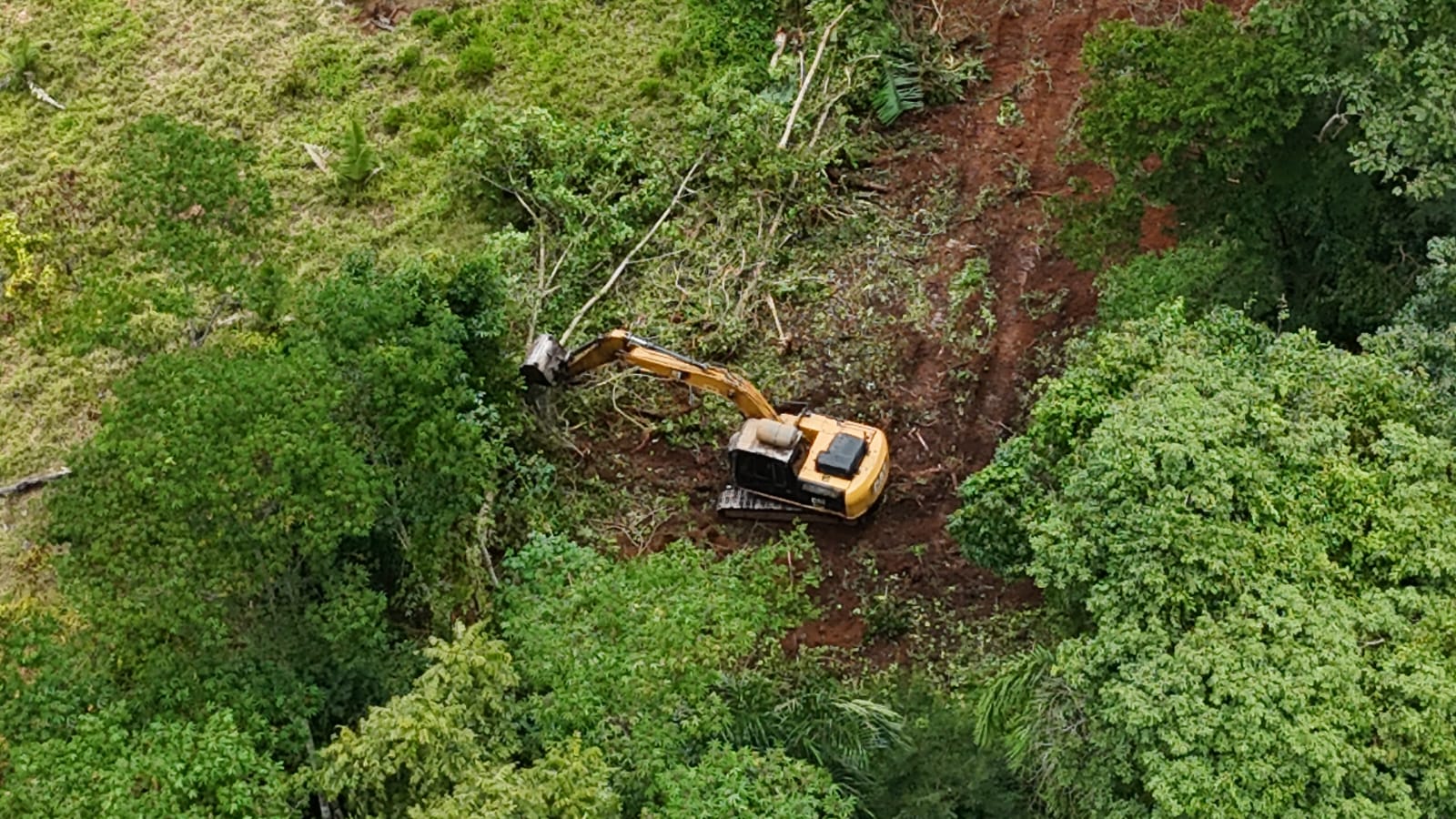Operação Hiléia: Batalhão de Polícia Ambiental flagra desmatamento em reserva legal e apreende escavadeira em Campo novo de Rondônia