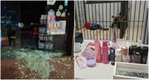 Dupla é presa após furtos na zona Leste de Porto Velho