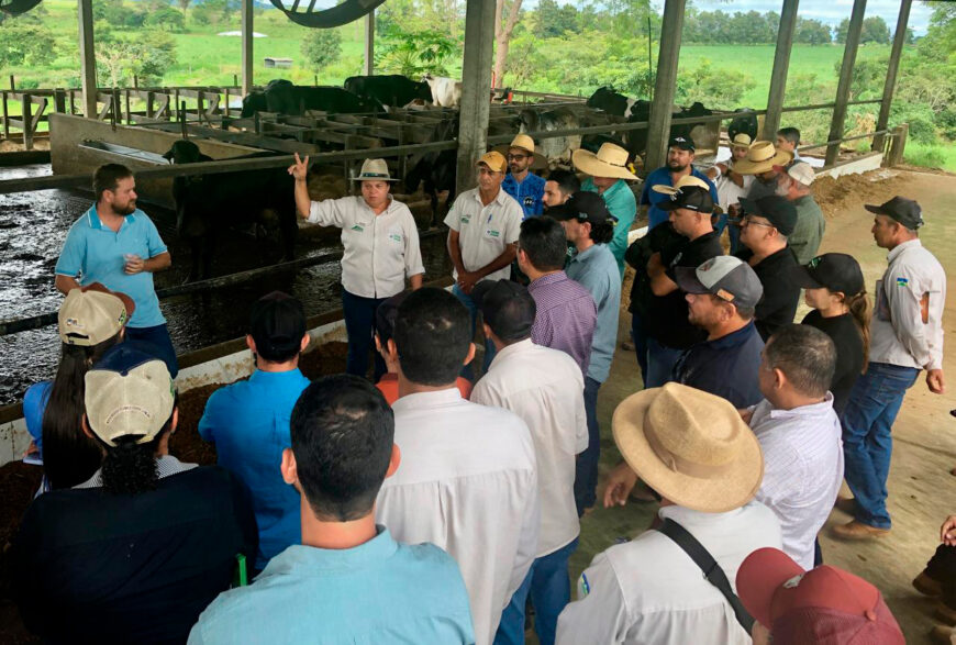 Capacitação técnica voltada à criação de bezerras e novilhas fortalece produção leiteira em Rondônia