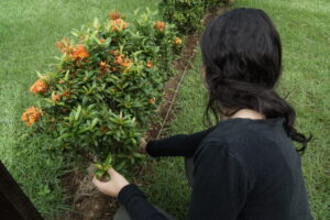 Capacitação sobre manejo de acidentes com animais peçonhentos será realizada pela Agevisa no dia 22 de abril