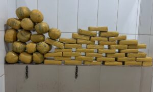 POLÍCIA MILITAR EM CACOAL APREENDE CERCA DE 50 KG DE MACONHA