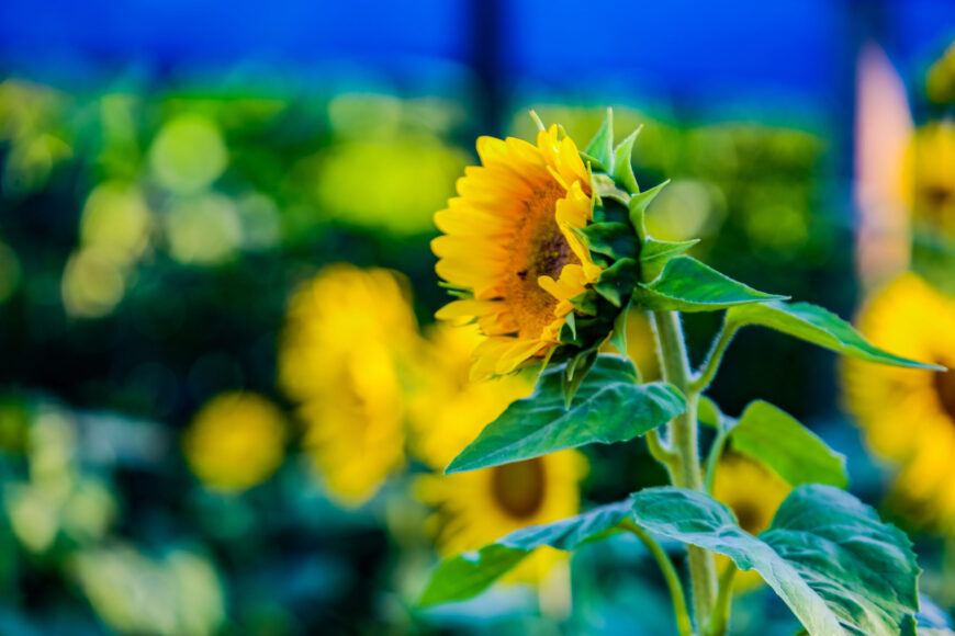 Páscoa: a oportunidade de transformação!