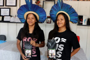 Desenvolvendo práticas tradicionais, povos indígenas de Rondônia se destacam na produção agrícola de café