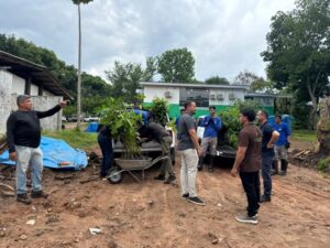 Viveiro de produção de mudas nativas fortalece recomposição florestal e impulsiona recuperação ambiental em Rondônia