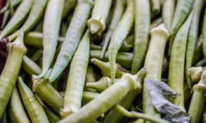 © Rafa Neddermeyer/Agência Brasil