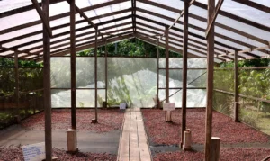 © Tânia Rêgo/Agência Brasil