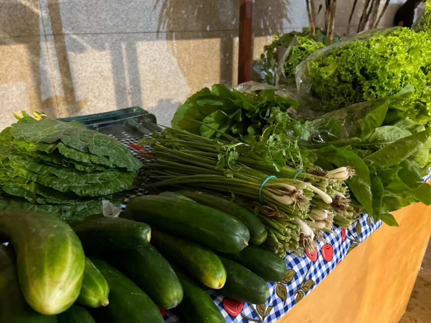 Governo de RO fortalece agricultura familiar por meio do edital PAA Rondônia 2026
