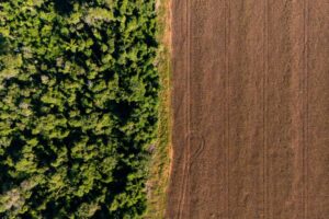 CMN adia exigência do Prodes para crédito rural