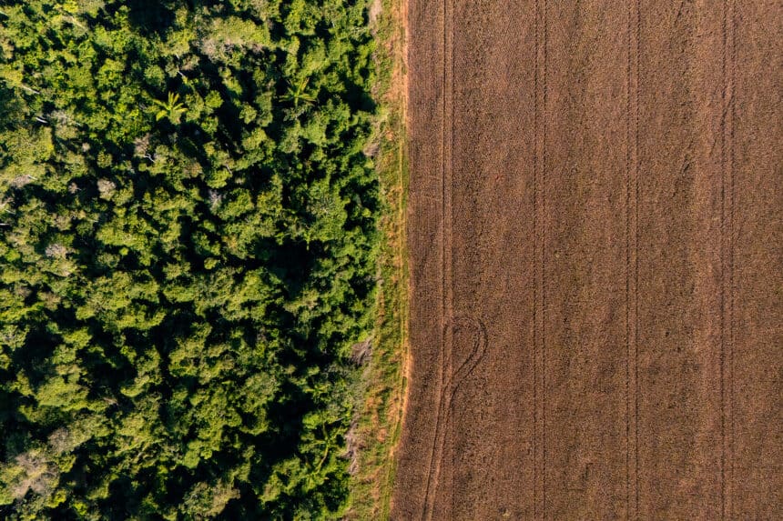 CMN adia exigência do Prodes para crédito rural