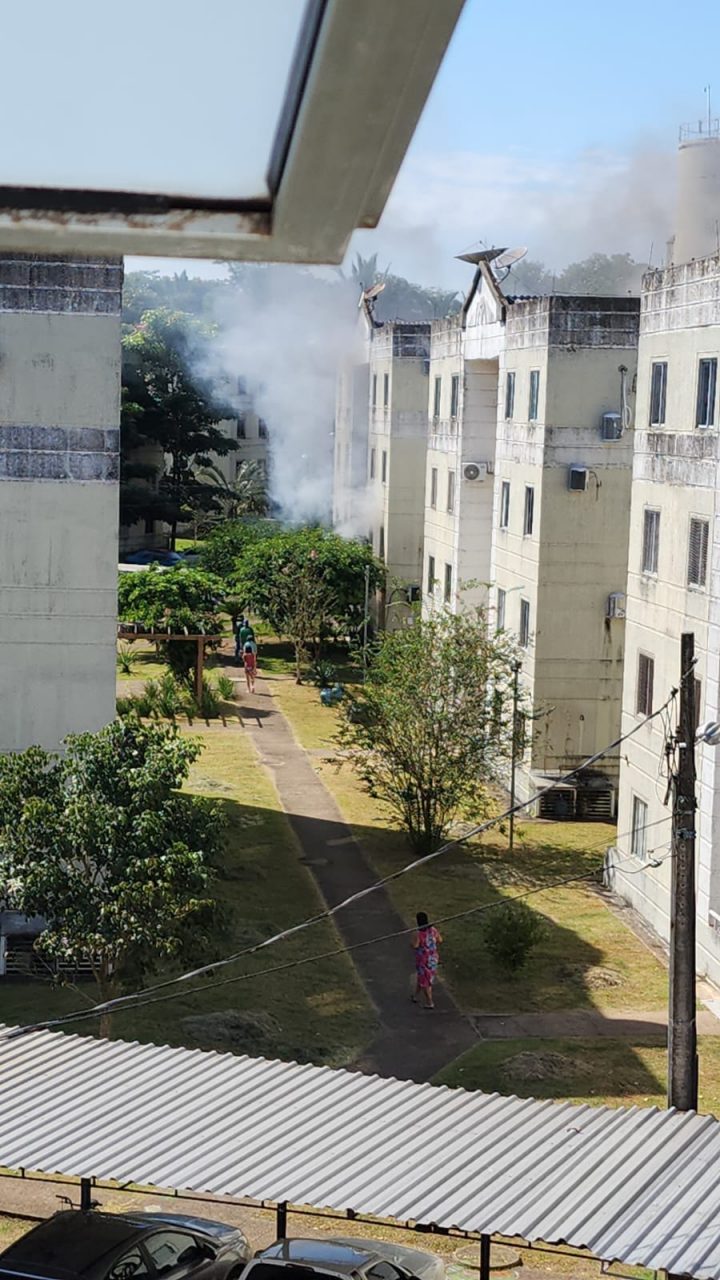 Atuação conjunta da Polícia Militar de Rondônia resulta em prisão por incêndio criminoso, violência doméstica e maus-tratos a animais