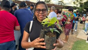 Semana do Meio Ambiente terá oficinas, ações educativas e distribuição de mudas