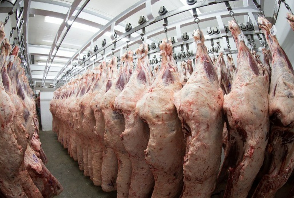 Exportação de carne bovina do Brasil caminha para primeira queda mensal em 18 meses