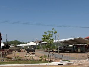 AGROTEC 2026 destaca tecnologia, produção e inovação com o tema “Raízes que conectam o futuro”