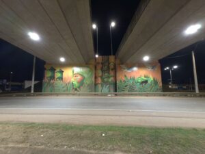 Porto Velho passa a ter os cinco viadutos totalmente iluminados pela primeira vez