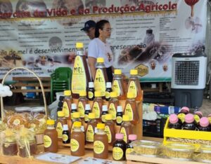 Sabores da Colmeia destaca potencial da apicultura e meliponicultura na 2ª edição da Agrotec 2026