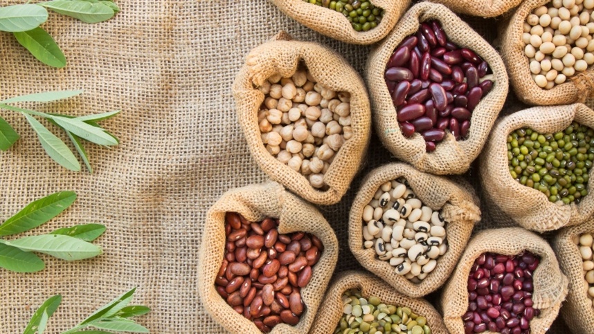 Feijão: folhas revelam problemas nutricionais