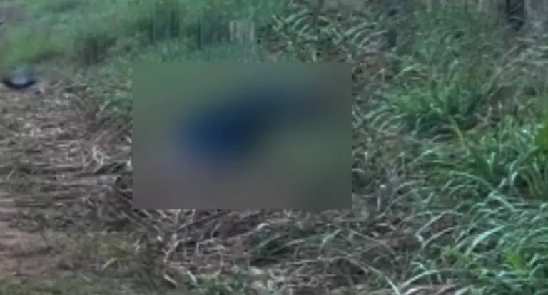 Homem é encontrado morto com marcas de tiros e corpo carbonizado em distrito de Candeias do Jamari