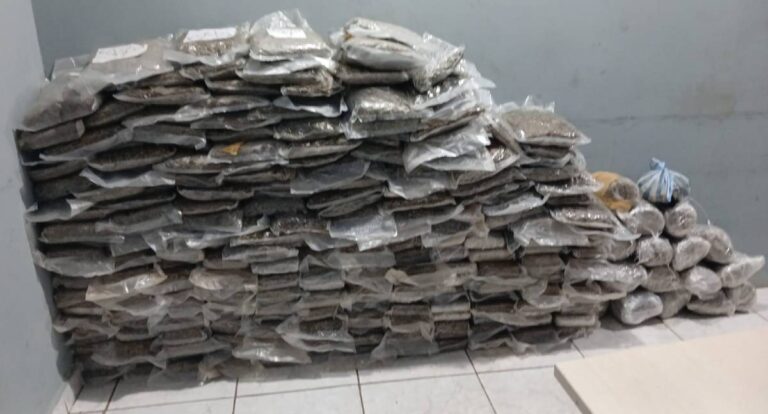 PRF apreende 200 quilos de maconha e prende três suspeitos na BR-364 em Porto Velho