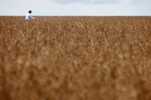 Trabalhador caminha em plantação de soja em fazenda na cidade de Tangará da Serra, em Cuiabá • Um trabalhador caminha em uma plantação de soja em uma fazenda na cidade de Tangará da Serra, em Cuiabá, em 27 de março de 2012. REUTERS/Paulo Whitaker