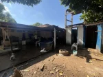 Atividade Delegada da prefeitura resgata 13 idosos de instituição irregular na zona Leste de Porto Velho