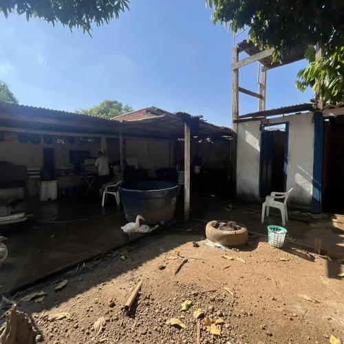 Atividade Delegada da prefeitura resgata 13 idosos de instituição irregular na zona Leste de Porto Velho