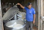 Oficinas técnicas sobre inspeção de produtos de origem animal e segurança alimentar serão promovidas na Rondônia Rural Show