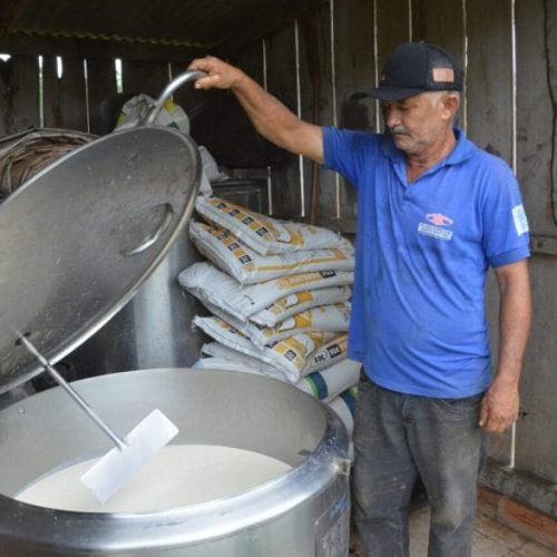 Lei impulsiona desenvolvimento da agricultura e fortalece segmentos do leite e do café em Rondônia