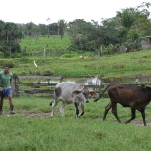 Práticas que visam redução das emissões de gases de efeito estufa são definidas em plano de ação do governo de RO 