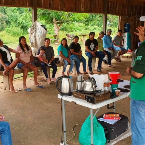Mutirão nas comunidades São Luís e Serrinha fortalece agricultura familiar com Ater Indígena em Rondônia