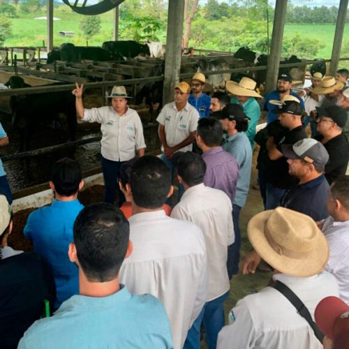 Capacitação técnica voltada à criação de bezerras e novilhas fortalece produção leiteira em Rondônia