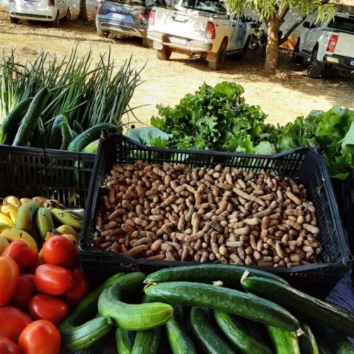 Mais de 350 produtores de Rondônia são aprovados no Programa de Aquisição de Alimentos Indígena