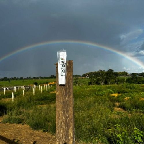 Crise Hídrica: Ações para garantir produção agrícola em Rondônia são viabilizadas pelo governo de RO