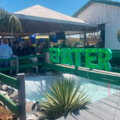 Ações de fortalecimento da agricultura familiar são destacadas durante Exposição Agropecuária de Alvorada do Oeste