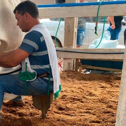 Concurso Leiteiro valoriza produtores rurais e impulsiona pecuária em Cabixi