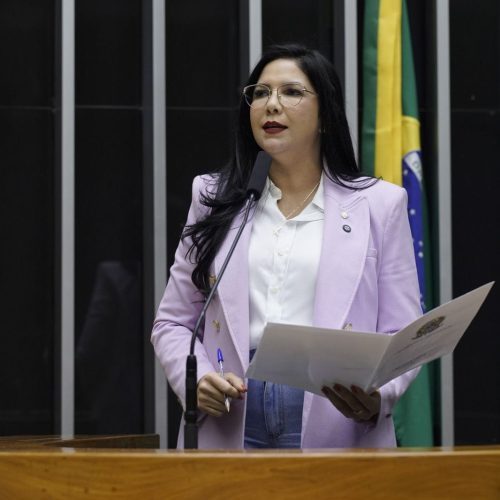 Cristiane Lopes promove Audiência Pública em Brasília e convida Produtores Rurais para defender o Agro